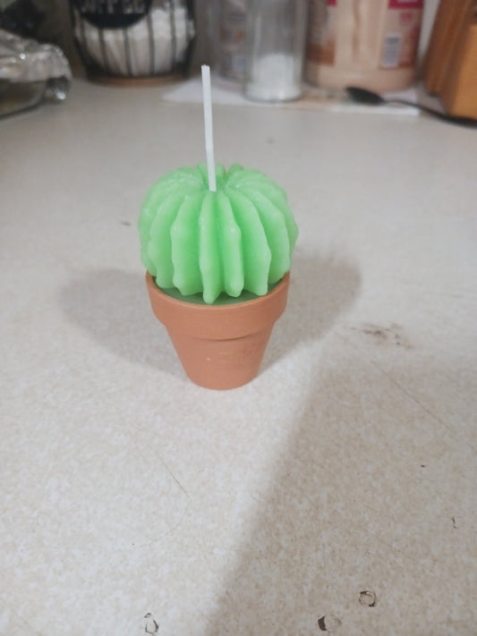 Wax Melts