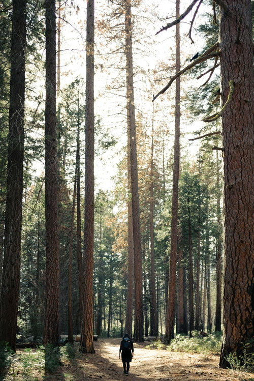 Cherokee Forrest Candle Co.